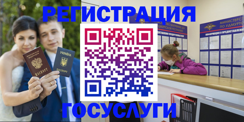 прописка поиск в Нижнекамске